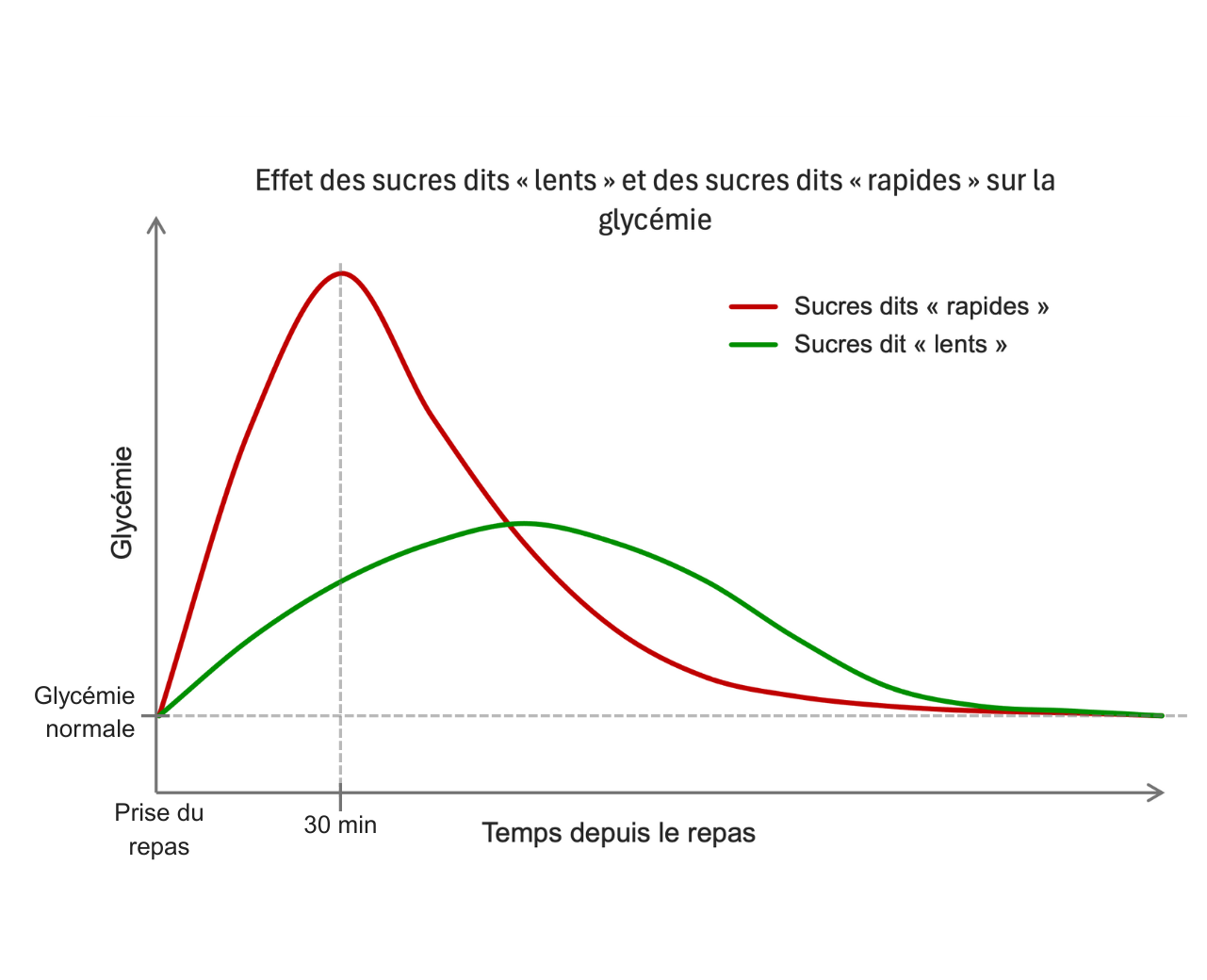 Impact des glucides rapides ou lents sur la glycémie